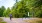 a person riding a bicycle on a road with trees on either side