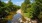 a river with rocks and trees