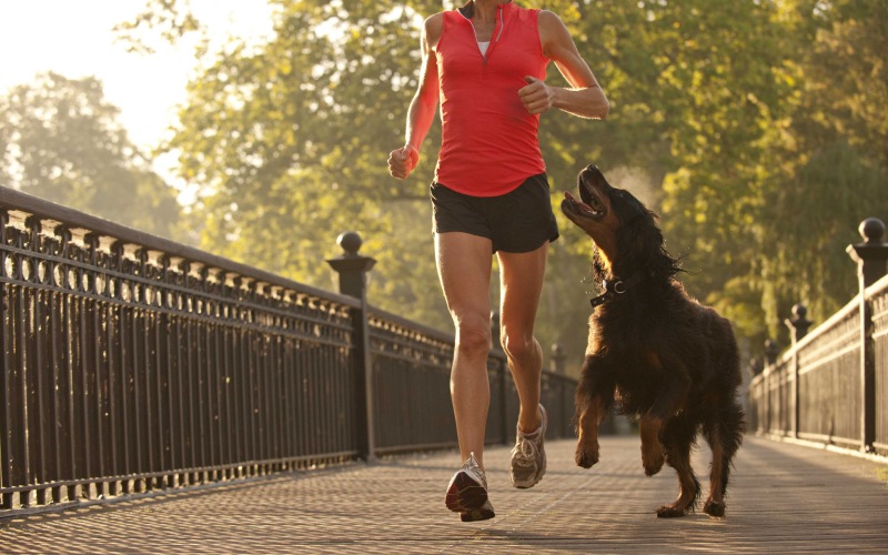 Resident walking a dog along a scenic paved neighborhood trail near Array at West Alex